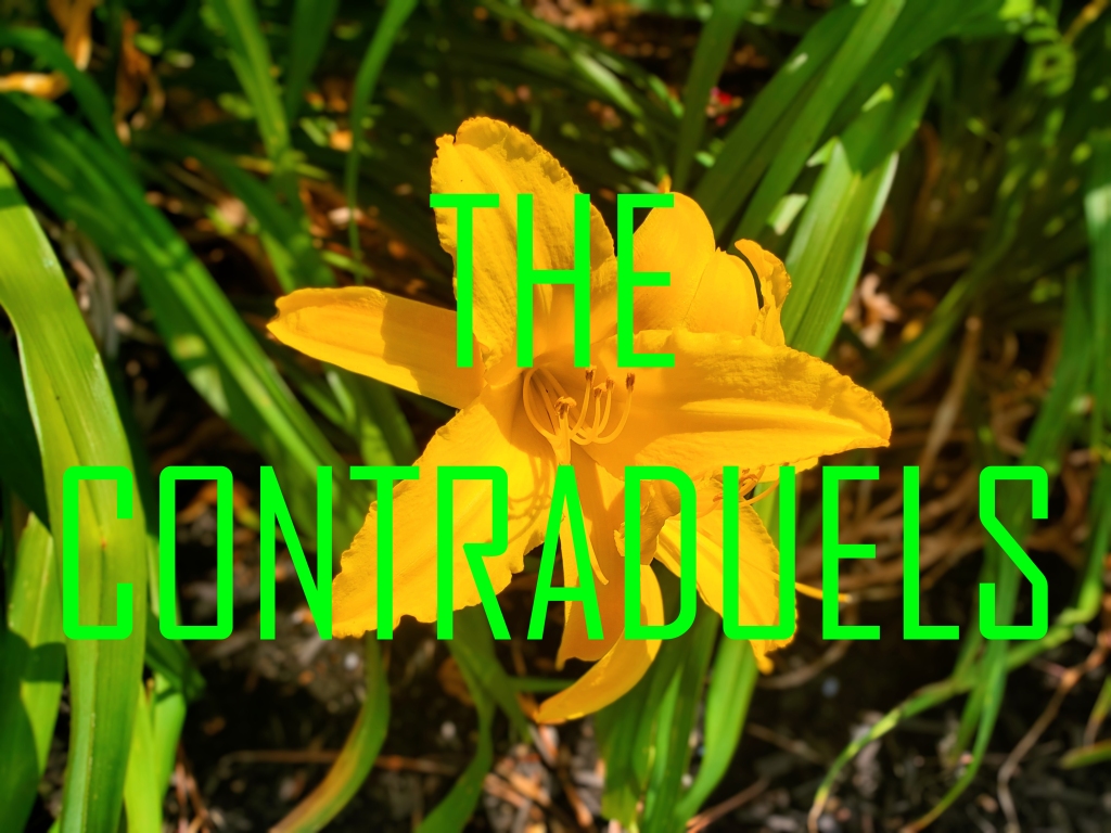 A close-up photograph of a yellow flower with green lettering over it that reads "The Contra Duels". 

Click the picture to hear The Contra Duels