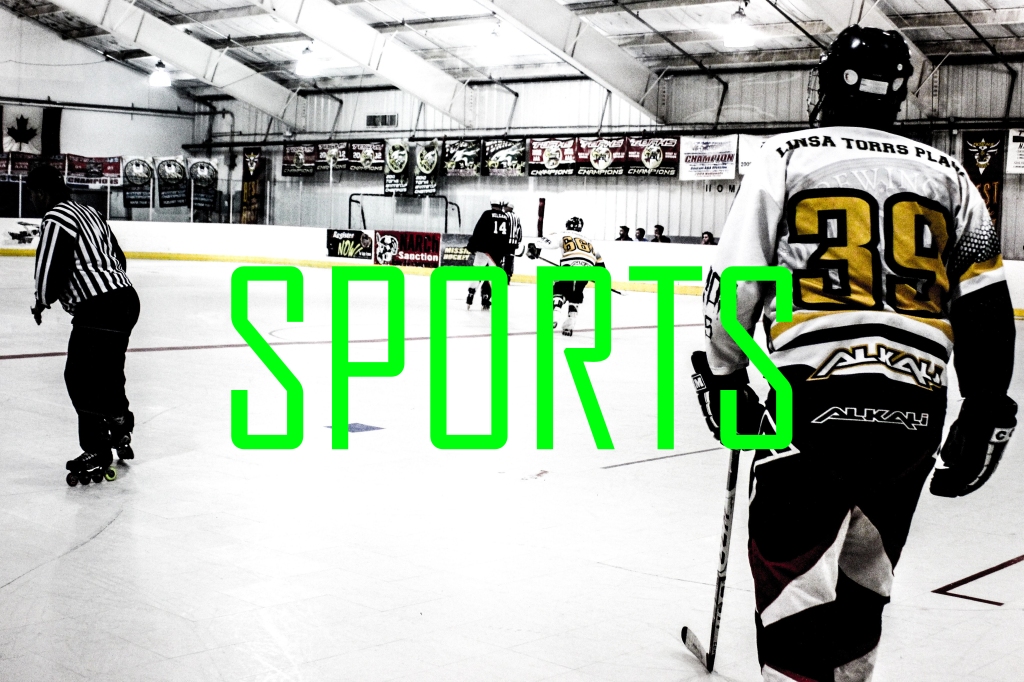 A man in a hockey jersey skates away, number 39 on his back. There is green lettering across the photo that reads "SPORTS".

Click through for more SPORTS photos